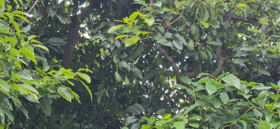 7 Bedroom Property for Sale in Modderfontein AH North West